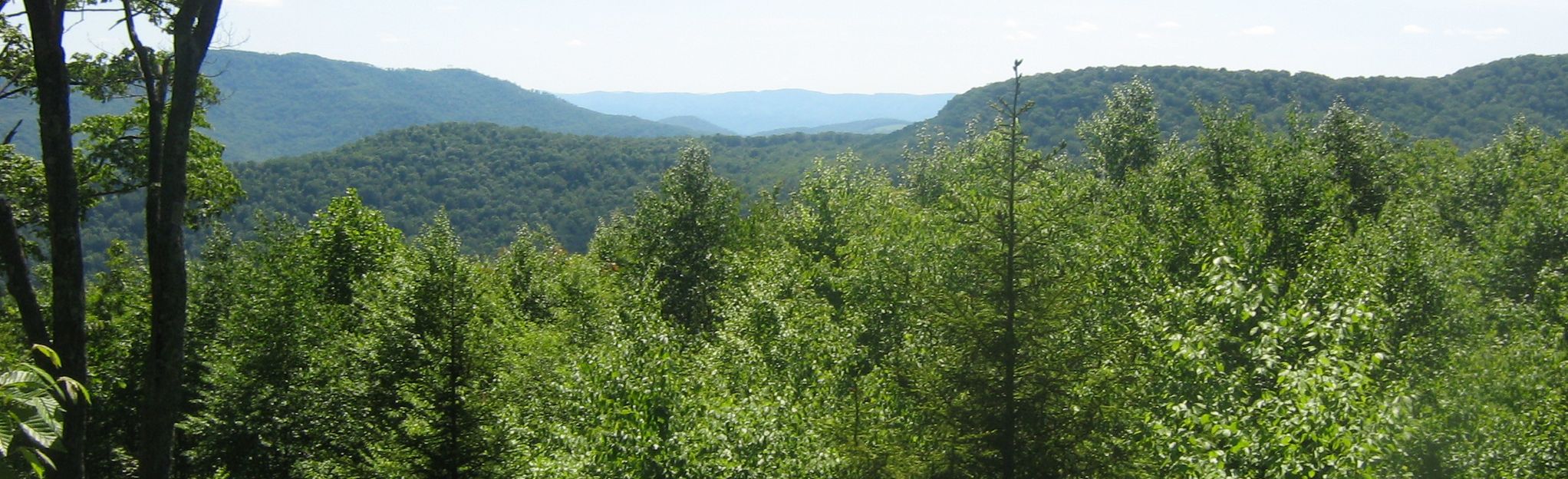 Bear Heaven Campground, West Virginia - 16 Reviews, Map | AllTrails