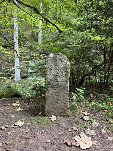 Wildes Monbachtal