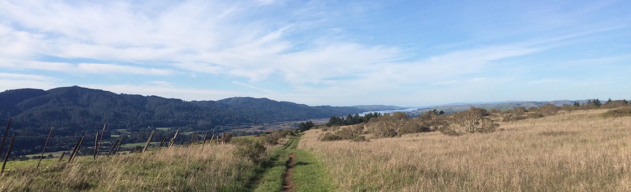 Bolinas Ridge Trail, California 399 Reviews, Map AllTrails