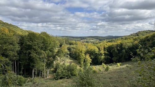 Noller Schulcht - Asberg - Wehdeberg