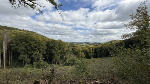 Noller Schulcht - Asberg - Wehdeberg
