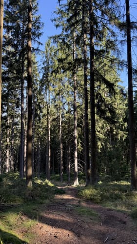 Rundwanderweg 3 Wülfersreuth