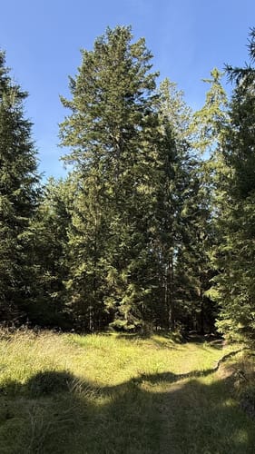 Rundwanderweg 3 Wülfersreuth