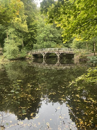 Rund um den Jacobiweiher