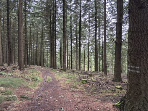Runde am Teufelsfels