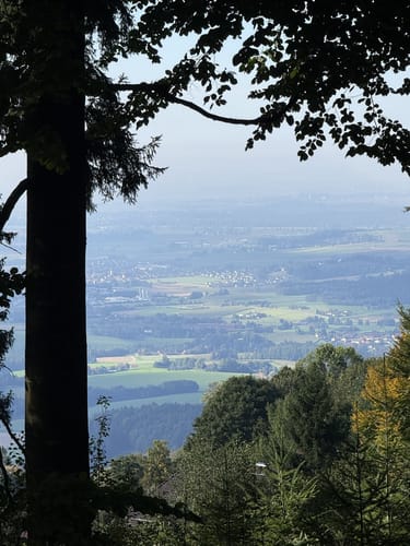 Goldsteig Zuwege Nr. 30: Von Grandsberg auf den Hirschenstein