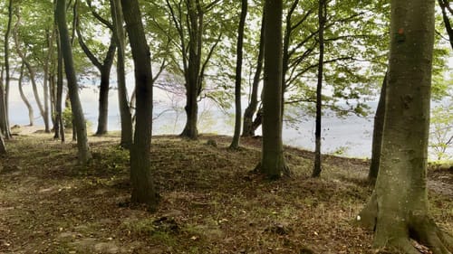 An der Steilküste Runde von Weißenhäuser Strand