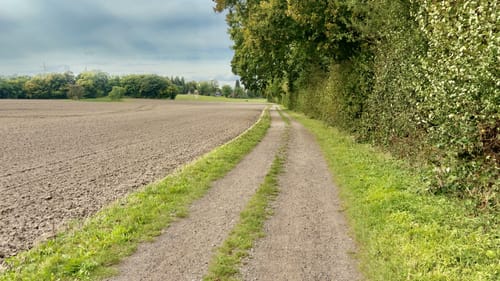 An der Steilküste Runde von Weißenhäuser Strand