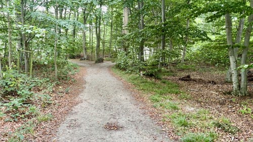 An der Steilküste Runde von Weißenhäuser Strand