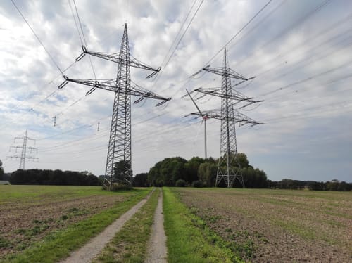 Von Mutter Stuff ins Kohuesholz (Wanderweg W1)
