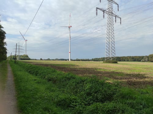 Von Mutter Stuff ins Kohuesholz (Wanderweg W1)