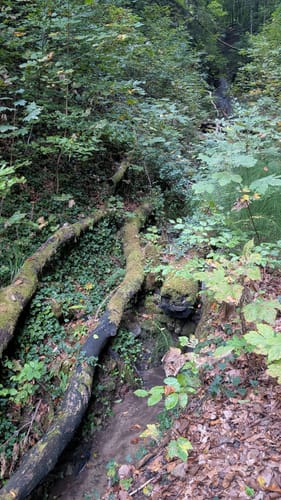 Vom Känzele über Rührberg und Ruschbachfälle