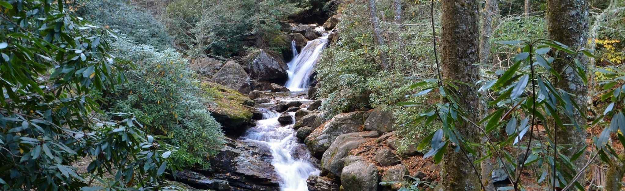 Skinny Dip Falls and Graveyard Ridge Trail Loop: 106 Reviews, Map ...