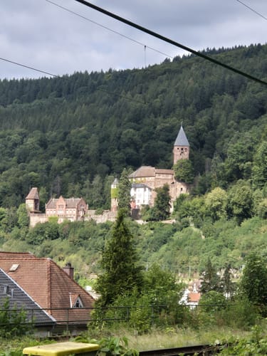 Auf den Katzenbuckel
