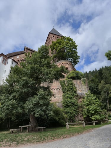 Auf den Katzenbuckel
