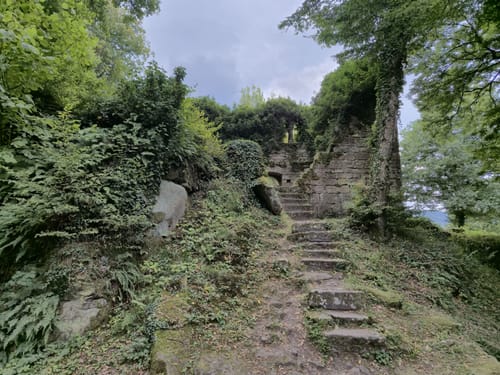 Auf den Katzenbuckel