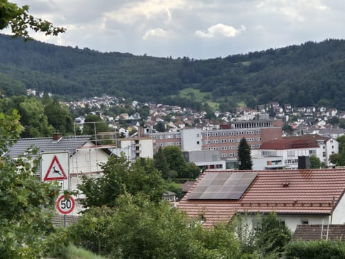 Auf den Katzenbuckel