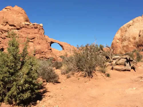 2023 Best 10 Easy Trails in Moab | AllTrails