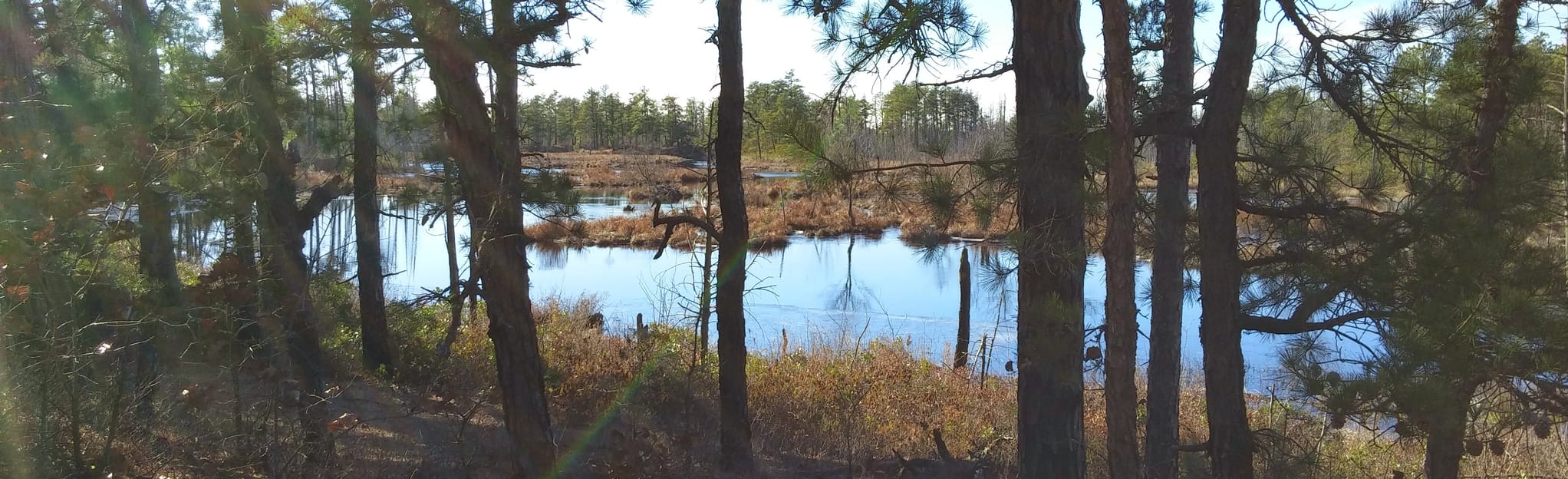 Beaver Pond Quaker Bridge Trail to Lower Campground 213 foto
