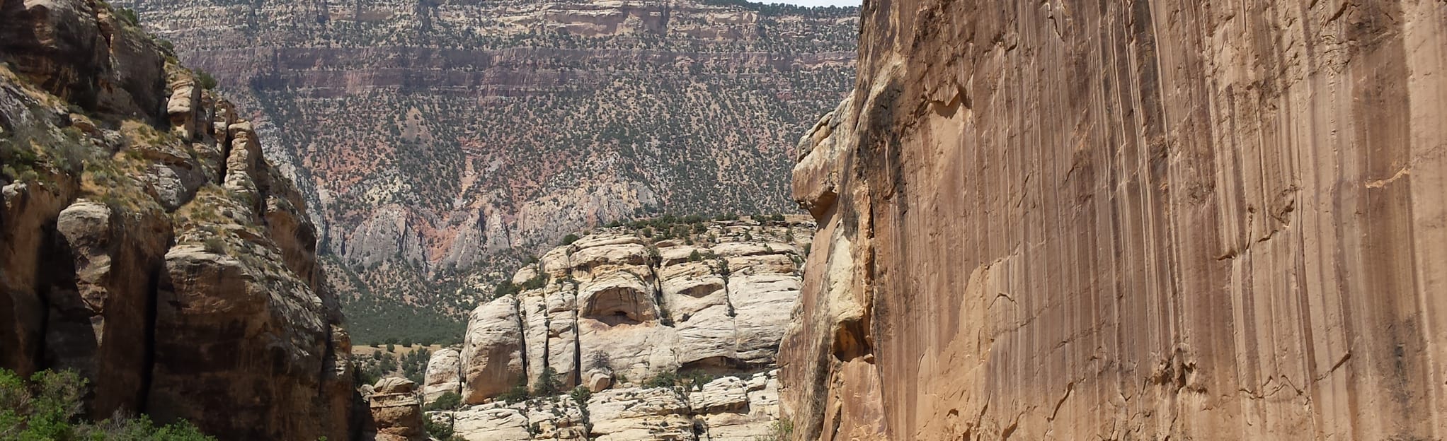Dinosaur National Monument Echo - EyJidWNrZXQiOiJhc3NldHMuYWxsdHJhaWxzLmNvbSIsImtleSI6InVwbG9hZHMvcGhvdG8vaW1hZ2UvMTExNTc4OTEvZjAyMWI3MzAwYTY4ZWFmNGJjZWFjNzg4YzA2MTA1ODQuanBnIiwiZWRpdHMiOnsidG9Gb3JtYXQiOiJqcGVnIiwicmVzaXplIjp7IndpZHRoIjoyMDQ0LCJoZWlnaHQiOjYyNCwiZml0IjoiY292ZXIifSwicm90YXRlIjpudWxsLCJqcGVnIjp7InRyZWxsaXNRdWFudGlzYXRpb24iOnRydWUsIm92ZXJzaG9vdERlcmluZ2luZyI6dHJ1ZSwib3B0aW1pc2VTY2FucyI6dHJ1ZSwicXVhbnRpc2F0aW9uVGFibGUiOjN9fX0=