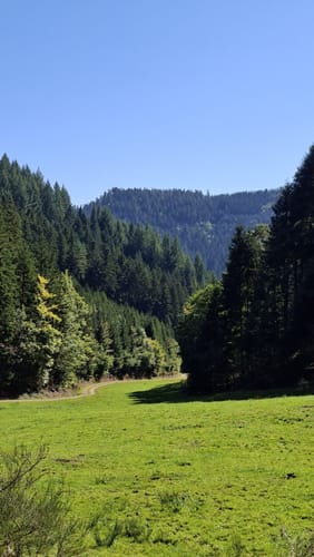 Gutacher Tälersteig (Genießerpfad)