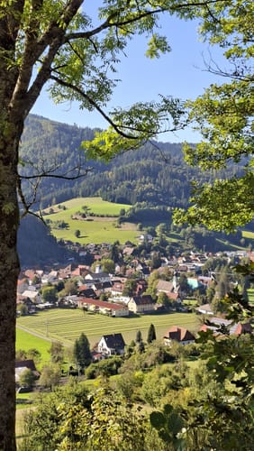 Gutacher Tälersteig (Genießerpfad)