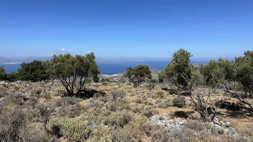 Kavousi - Olivenbaumdenkmal - Archologische Sttte Azorien: 13 Fotos -  Kreta, Griechenland | Wandern | AllTrails