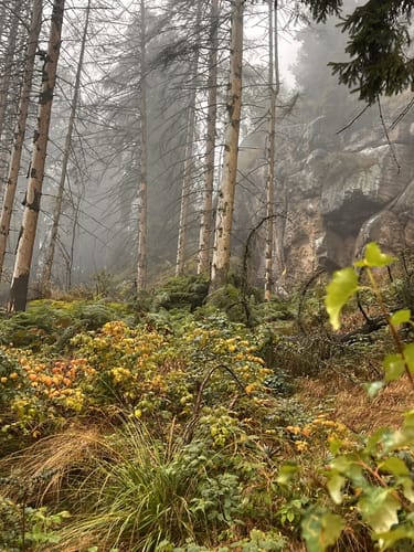 Oybin - Große Felsengasse - Fürstensteg