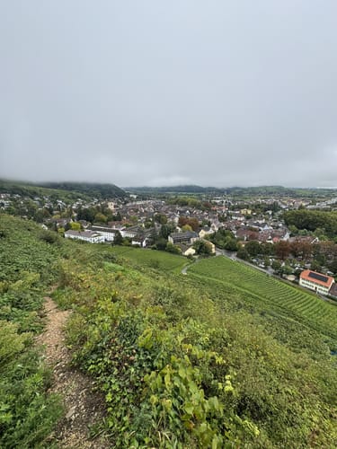 Panoramatour Burg Staufen - Weisheitsbaumpfad - Messerschmiedfelsen