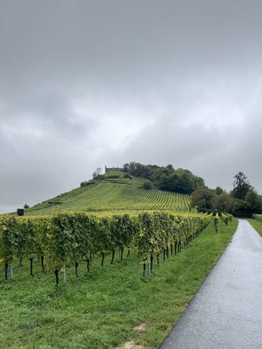 Panoramatour Burg Staufen - Weisheitsbaumpfad - Messerschmiedfelsen
