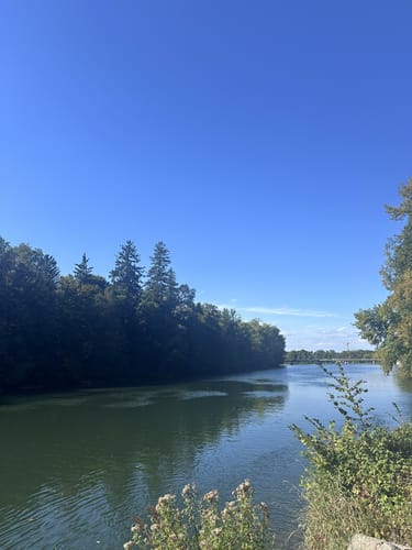 Wildparkrunde