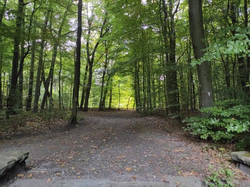 Rund um den Wittringer Wald