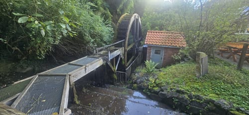 HO1 - Amelungsberg-Route