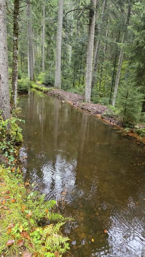 Wasserrad Paradies