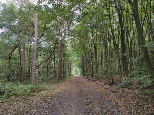 Kleine Runde in der Haardt