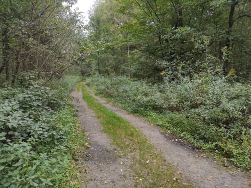 Kleine Runde in der Haardt