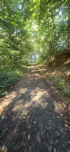 HO1 - Amelungsberg-Route