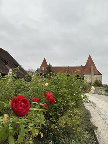 Panoramaweg und Wöhrsee