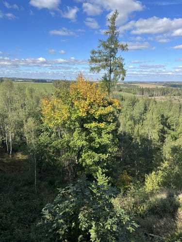 Heinrichstein - Frankenwaldblick