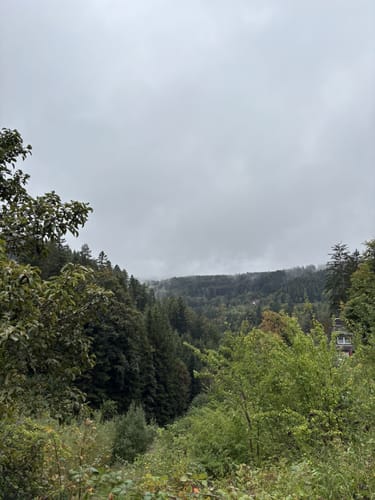 Oberer Bahnerlebnispfad