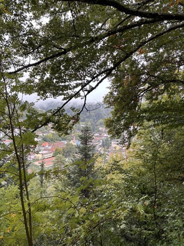 Oberer Bahnerlebnispfad