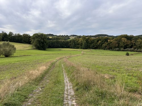 Rundwanderung durch die Elfringhauser Schweiz