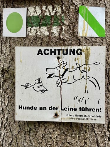Königslauf Bad Elster (12 km)