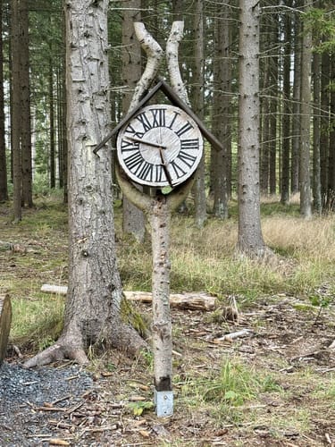 Königslauf Bad Elster (12 km)