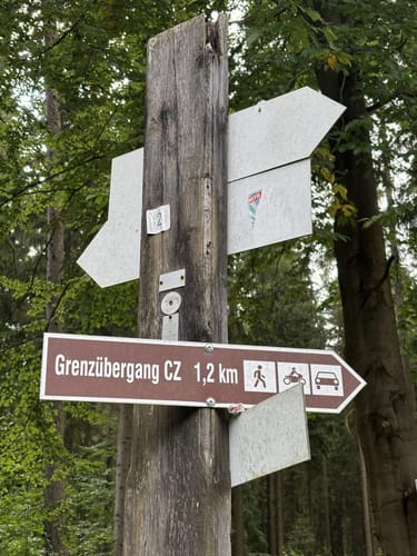Königslauf Bad Elster (12 km)