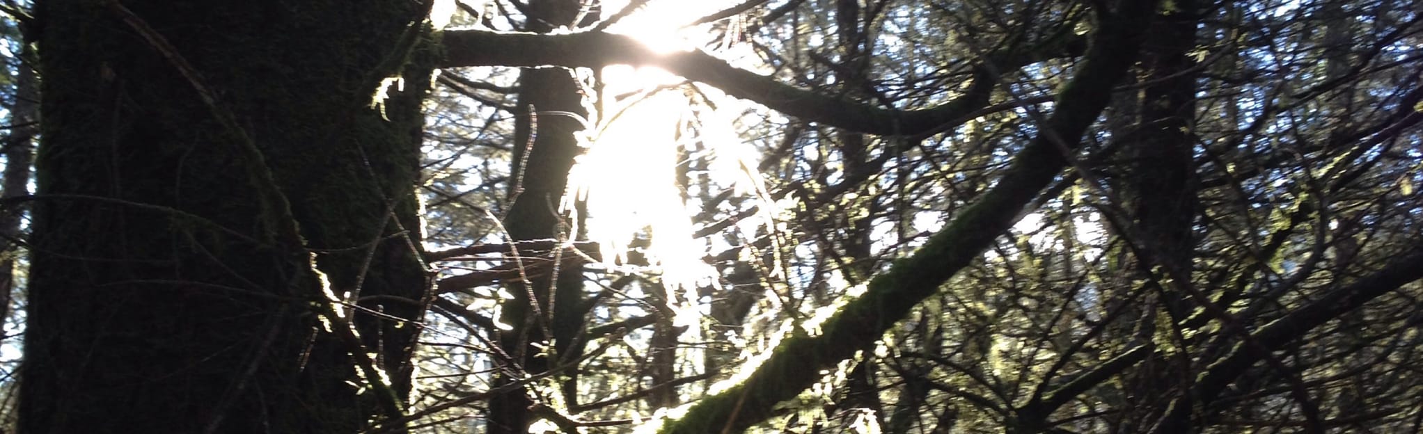 Ravensdale, Washington 39 Reviews, Map AllTrails