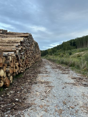 Bestwiger Panoramaweg Etappe 4
