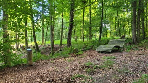 Weserbergland-Weg Etappe 3: Sababurg - Bad Karlshafen