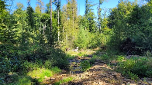 Weserbergland-Weg Etappe 3: Sababurg - Bad Karlshafen