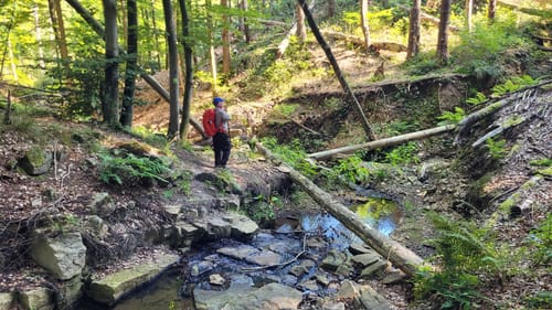 Weserbergland-Weg Etappe 3: Sababurg - Bad Karlshafen